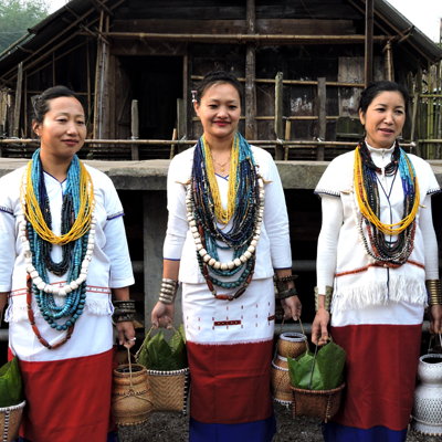 PDF) Culture of Friendship Among the Apatanis of Arunachal Pradesh by Prof.  Sarah Hilaly | Journal Space and Culture, India Open access Journal -  Academia.edu